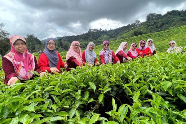 Pelancongan Domestik: Cameron Highland