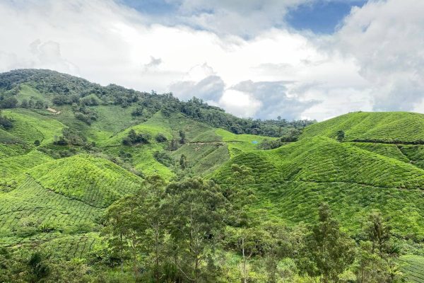 photo_6271441208043746361_y