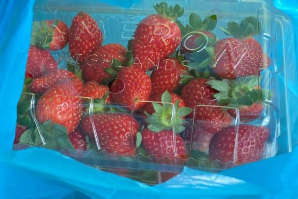 photo_6271441208043746373_y