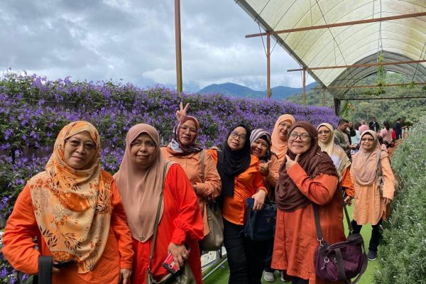 photo_6271441208043746449_y