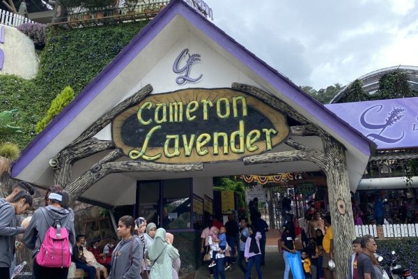 photo_6271441208043746456_y